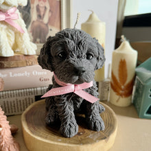 Load image into Gallery viewer, Cockapoo