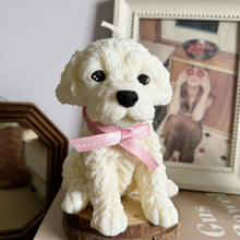 Load image into Gallery viewer, Cockapoo