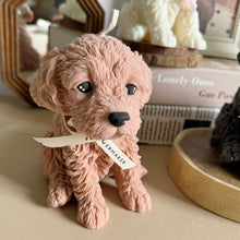 Load image into Gallery viewer, Cockapoo