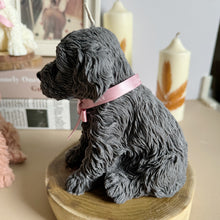 Load image into Gallery viewer, Cockapoo