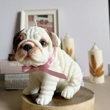 Load image into Gallery viewer, English Bulldog
