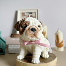 Load image into Gallery viewer, English Bulldog