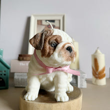 Load image into Gallery viewer, English Bulldog