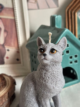 Load image into Gallery viewer, Cat - Design 2