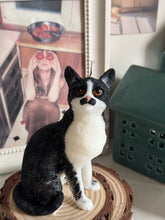 Load image into Gallery viewer, Cat - Design 2