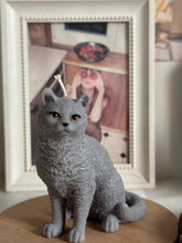 Load image into Gallery viewer, Cat - Design 3