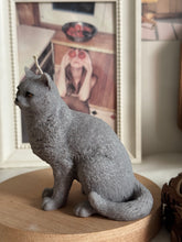 Load image into Gallery viewer, Cat - Design 3