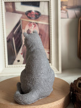 Load image into Gallery viewer, Cat - Design 3