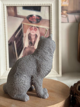 Load image into Gallery viewer, Cat - Design 3