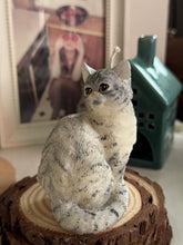 Load image into Gallery viewer, Cat - Design 1
