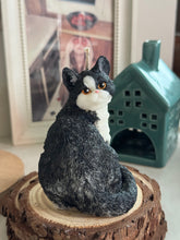 Load image into Gallery viewer, Cat - Design 1