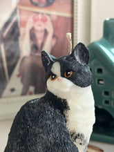 Load image into Gallery viewer, Cat - Design 1