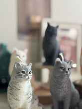 Load image into Gallery viewer, Cat - Design 3