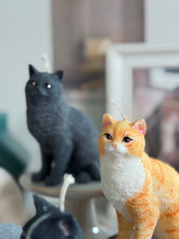 Load image into Gallery viewer, Cat - Design 3