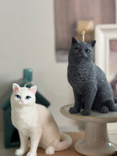 Load image into Gallery viewer, Cat - Design 3