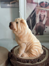 Load image into Gallery viewer, Shar Pei