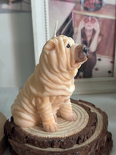Load image into Gallery viewer, Shar Pei