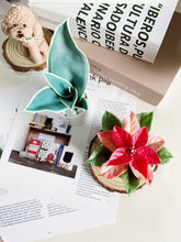 Load image into Gallery viewer, Wax Plant Experience Fun Class