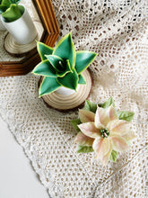 Load image into Gallery viewer, Wax Plant Course Series - Certification Class