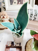 Load image into Gallery viewer, Wax Plant Experience Fun Class