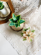 Load image into Gallery viewer, Wax Plant Experience Fun Class