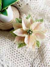 Load image into Gallery viewer, Wax Plant Course Series - Certification Class