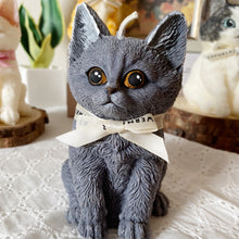 Load image into Gallery viewer, Kitten