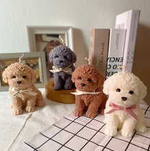 Load image into Gallery viewer, My Big Coco