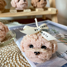 Load image into Gallery viewer, My Coco