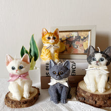 Load image into Gallery viewer, Kitten