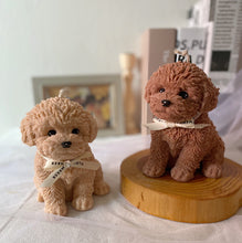 Load image into Gallery viewer, My Big Coco