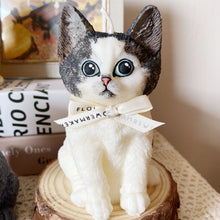 Load image into Gallery viewer, Kitten