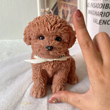 Load image into Gallery viewer, My Big Coco