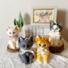 Load image into Gallery viewer, Kitten