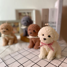 Load image into Gallery viewer, My Big Coco