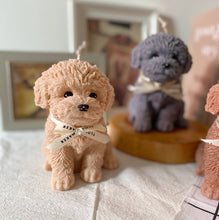 Load image into Gallery viewer, My Big Coco