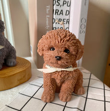 Load image into Gallery viewer, My Big Coco