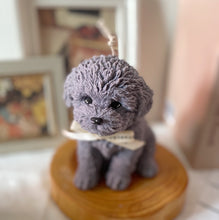 Load image into Gallery viewer, My Big Coco