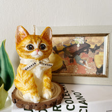 Load image into Gallery viewer, Kitten