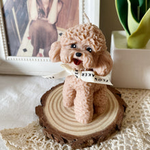 Load image into Gallery viewer, My Small Coco