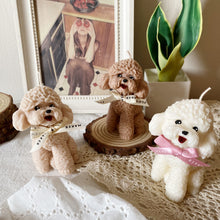 Load image into Gallery viewer, My Small Coco