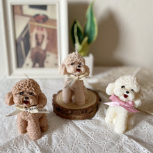 Load image into Gallery viewer, My Small Coco