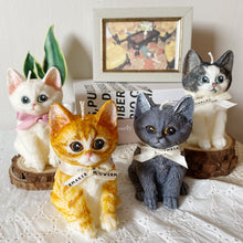 Load image into Gallery viewer, Kitten