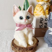 Load image into Gallery viewer, Kitten