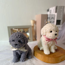 Load image into Gallery viewer, My Big Coco