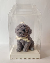 Load image into Gallery viewer, My Big Coco