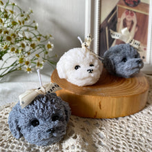 Load image into Gallery viewer, My Coco