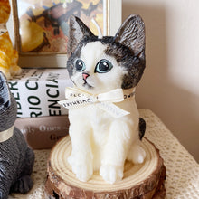 Load image into Gallery viewer, Kitten