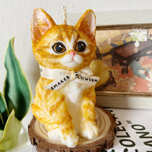 Load image into Gallery viewer, Kitten