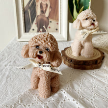 Load image into Gallery viewer, My Small Coco